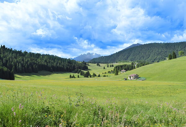 Apartment With Garden, Del Corlo Lake, Belluno: Activities, Autumn, Spring, Summer