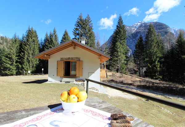 Baita La Ciamorza, Dolomiti, Veneto: Autumn, Garden, Spring, Summer