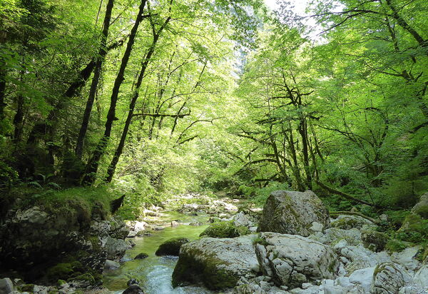 Baita La Ciamorza, Dolomiti, Veneto: Activities, Autumn, Spring, Summer