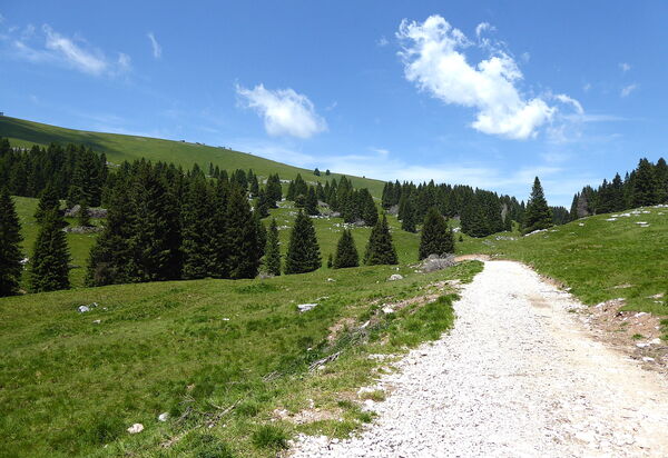 Baita La Ciamorza, Dolomiti, Veneto: Activities, Autumn, Spring, Summer