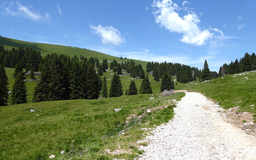 Baita La Ciamorza, Dolomiti, Veneto: Activities, Autumn, Spring, Summer