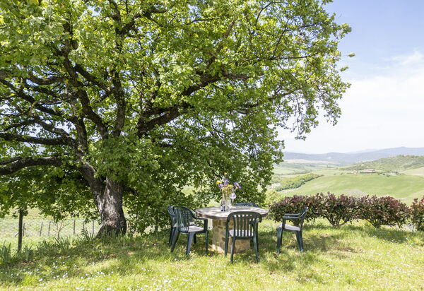 Marcigliana Cottage, Pool, Radicondoli: Autunno, Estate, Giardino, Primavera