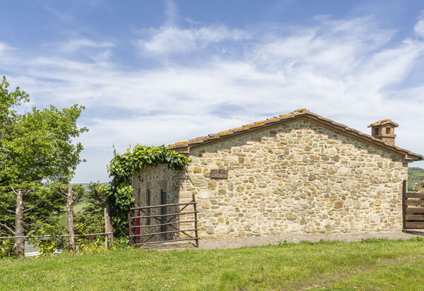 Marcigliana Cottage, Pool, Radicondoli: Autunno, Estate, Giardino, Primavera