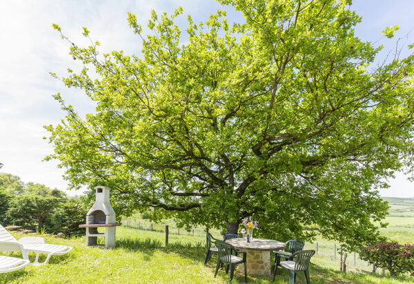 Marcigliana Cottage, Pool, Radicondoli: Autunno, Estate, Giardino, Primavera