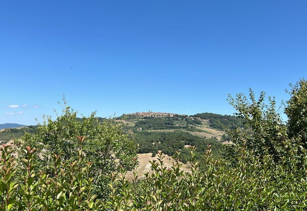 Marcigliana Cottage, Pool, Radicondoli: Autunno, Estate, Primavera, Vista Panoramica