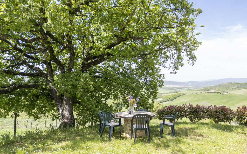 Marcigliana Cottage, Pool, Radicondoli: Autunno, Estate, Giardino, Primavera