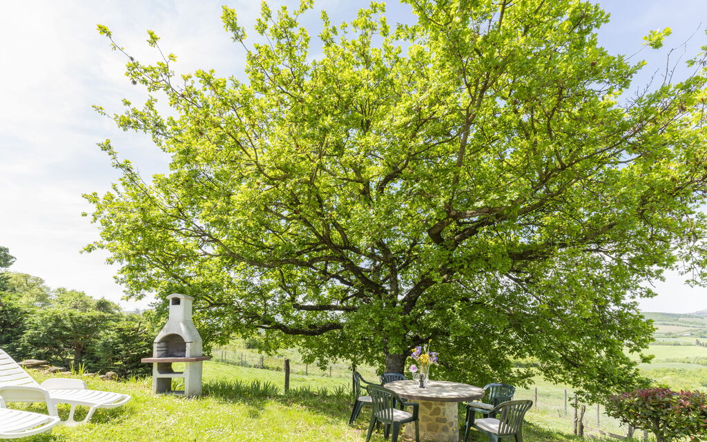 Marcigliana Cottage, Pool, Radicondoli: Autunno, Estate, Giardino, Primavera