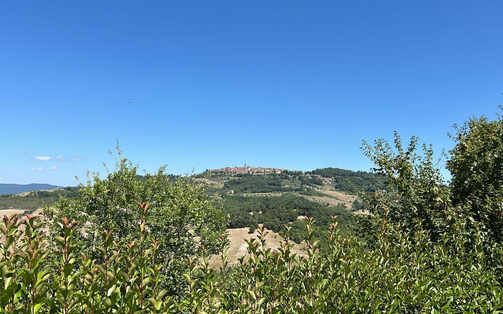 Marcigliana Cottage, Pool, Radicondoli: Autunno, Estate, Primavera, Vista Panoramica