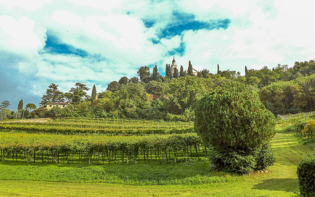 Il Vigneto, Verona, Pool, Wifi: Autunno, Estate, Esterni, Inverno, Primavera, Vista Panoramica