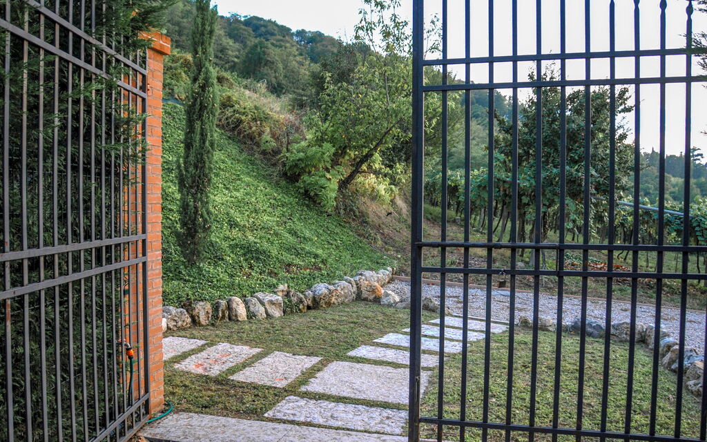 Il Vigneto, Verona, Pool, Wifi: Autunno, Entrata Principale, Estate, Esterni, Inverno, Primavera