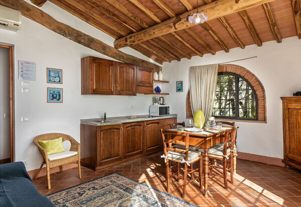 Agriturismo la Papessa: agriturismo-la-papessa-chianti-san-donato-multiproprietà-ibisco-sala-da-pranzo