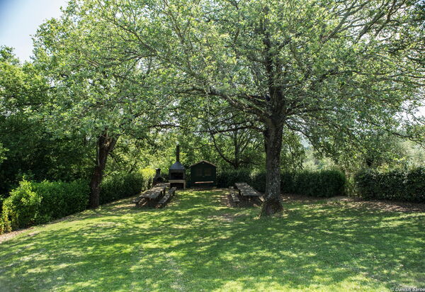 Agriturismo la Papessa: agriturismo-la-papessa-chianti-san-donato-multiproprietà-alberi