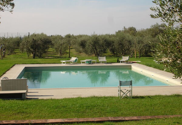 Agriturismo la Papessa: agriturismo-la-papessa-chianti-san-donato-multiproprietà-piscina