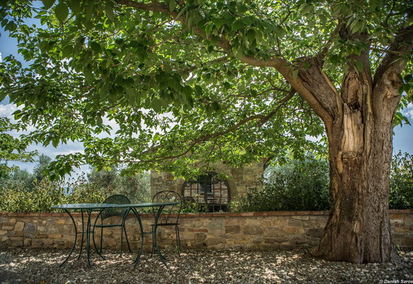 Agriturismo la Papessa: agriturismo-la-papessa-chianti-san-donato-multiproprietà-esterni