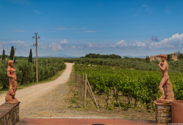 Agriturismo la Papessa: agriturismo-la-papessa-chianti-san-donato-multiproprietà-esterni