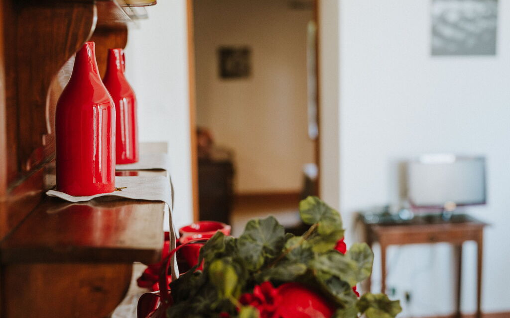 Agriturismo la Papessa - : agriturismo-la-papessa-chianti-san-donato-farmhouse-azalea-living-room
