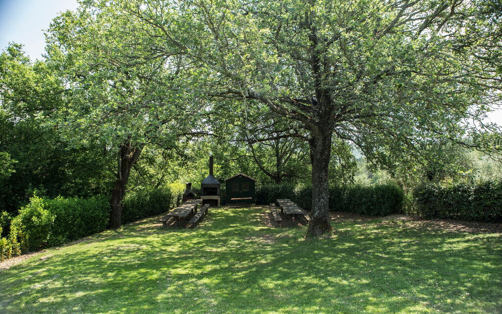 Agriturismo la Papessa: agriturismo-la-papessa-chianti-san-donato-farmhouse-tree