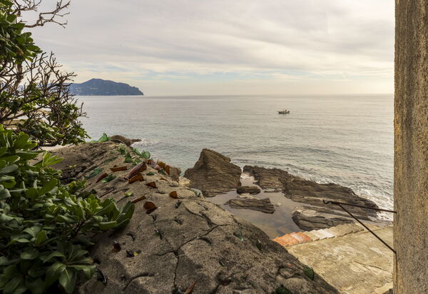 Casa con Accesso Privato al Mare, Parcheggio, Bogliasco: all'aperto, Attività, Autunno, Estate, Primavera