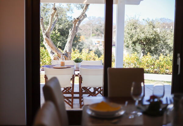 Villa Don Sante In Locorotondo Puglia: Autumn, Garden, Spring, Summer