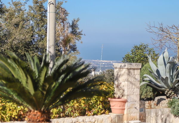 Villa Don Sante In Locorotondo Puglia: Autumn, Garden, Spring, Summer