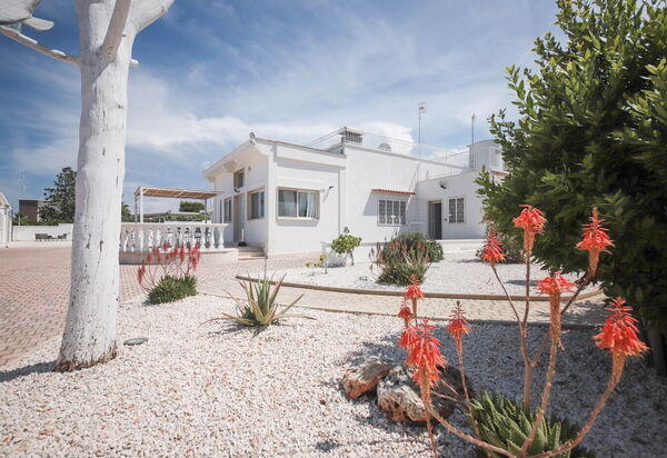 Villa Azzurra Seaview In Monopoli, Puglia: Autunno, Estate, Giardino, Primavera