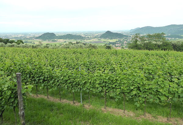 Casa Delle Eriche, Colli Euganei, Pool, Wifi: Activities, Autumn, Spring, Summer