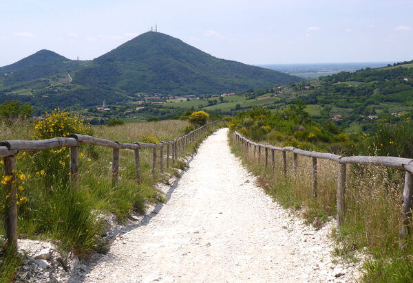 Casa Delle Eriche, Colli Euganei, Pool, Wifi: Activities, Autumn, Spring, Summer