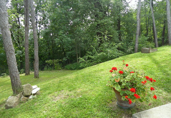 Casa Delle Eriche, Colli Euganei, Pool, Wifi: Autumn, Garden, Spring, Summer