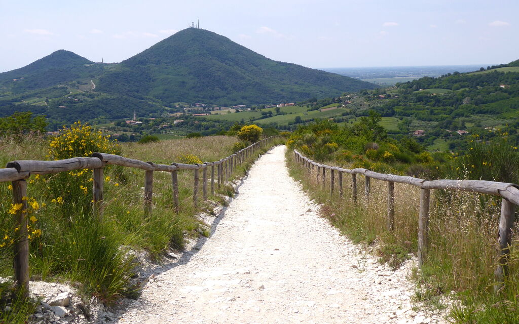 Casa Delle Eriche, Colli Euganei, Pool, Wifi: Activities, Autumn, Spring, Summer