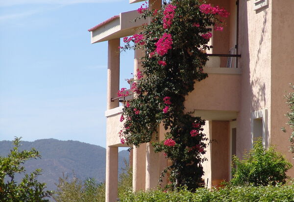 Trilocale Apartments Seaside: Autunno, Balcone / Terrazza / Patio, Estate, Primavera