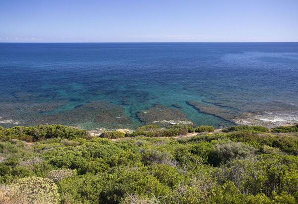 Villetta Seaside Sardegna: all'aperto, Autunno, Estate, Primavera