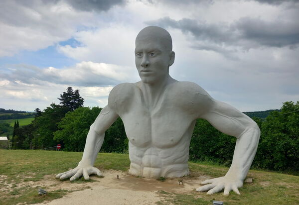 Ely Apartment In Villa, Wifi, Terricciola, Pisa: Attività, Autunno, Estate, Primavera