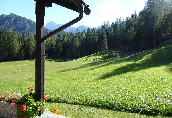 Baita Mountain View Pale San Martino: Autunno, Estate, Giardino, Primavera