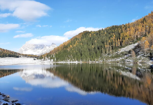 Baita Mountain View Pale San Martino: Activities, Autumn, Spring, Summer