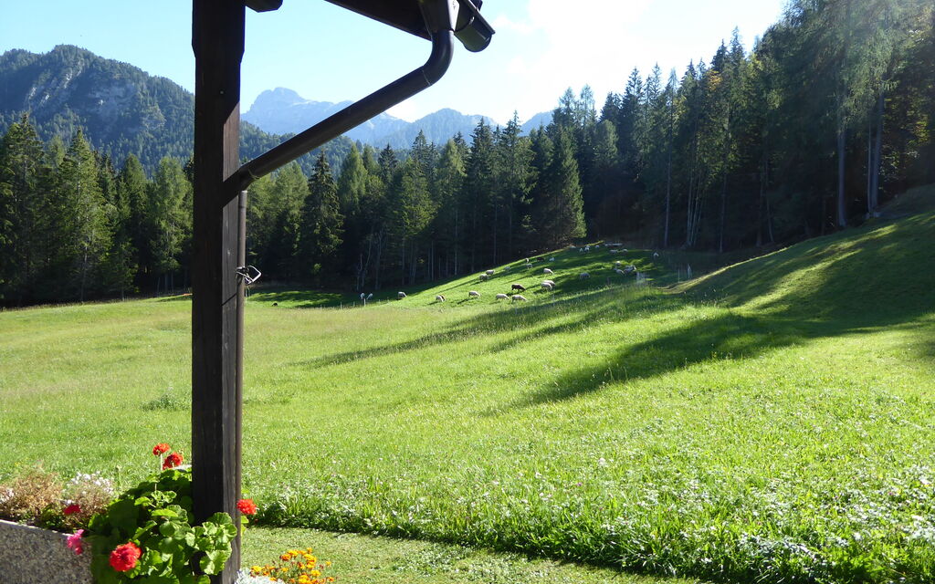 Baita Mountain View Pale San Martino: Autunno, Estate, Giardino, Primavera