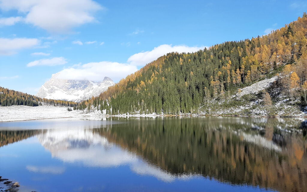 Baita Mountain View Pale San Martino: Activities, Autumn, Spring, Summer