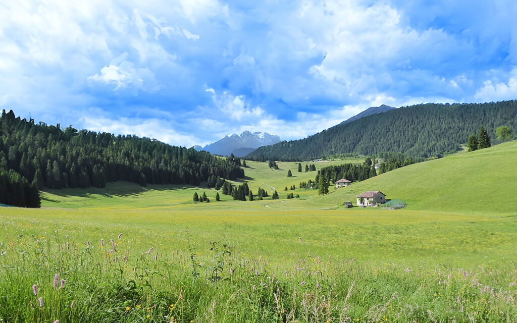 Baita Mountain View Pale San Martino: Activities, Autumn, Spring, Summer