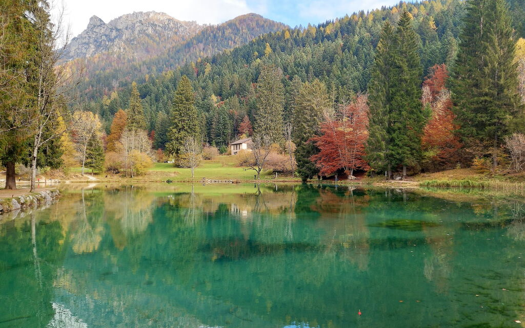 Baita Mountain View Pale San Martino: Activities, Autumn, Spring, Summer