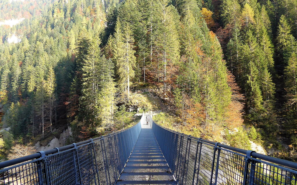 Baita Mountain View Pale San Martino: Autumn, Spring, Summer