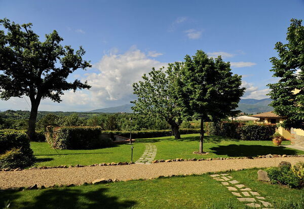 Il Castellare: Giardino