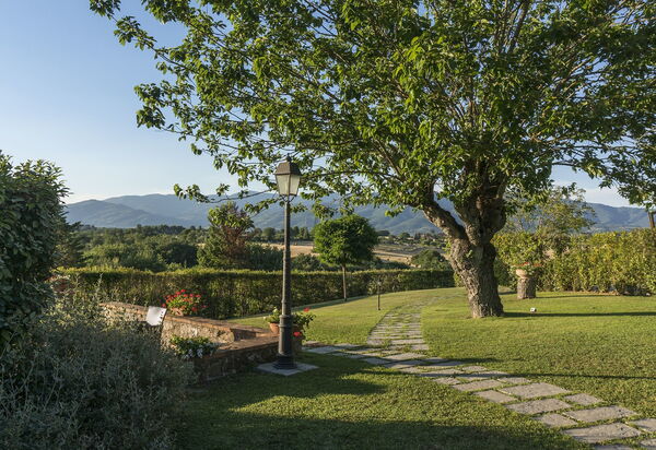 Il Castellare: Giardino