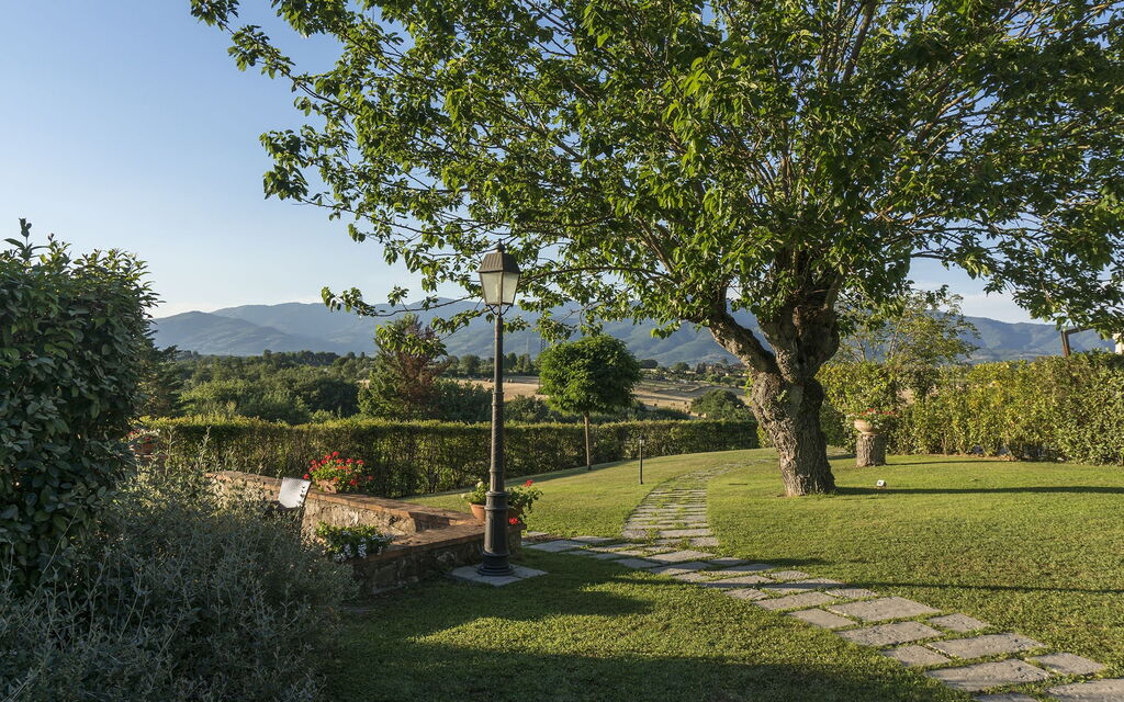 Il Castellare: Giardino