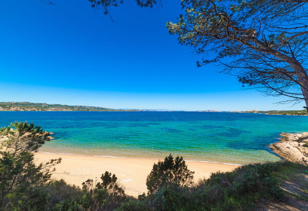 Baia Bianca Apartments Sardinia: Autunno, Estate, Esterni, Inverno, Primavera