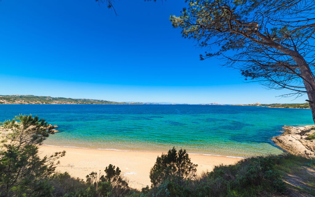 Baia Bianca Apartments Sardinia: Autunno, Estate, Esterni, Inverno, Primavera
