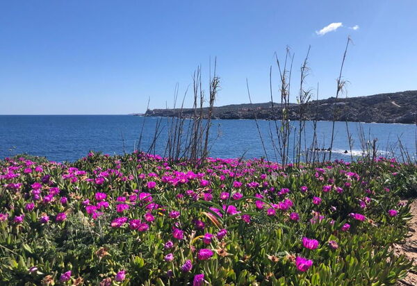 Cristal Blu Apartments In Santa Teresa Gallura: Autunno, Estate, Esterni, Inverno, Primavera