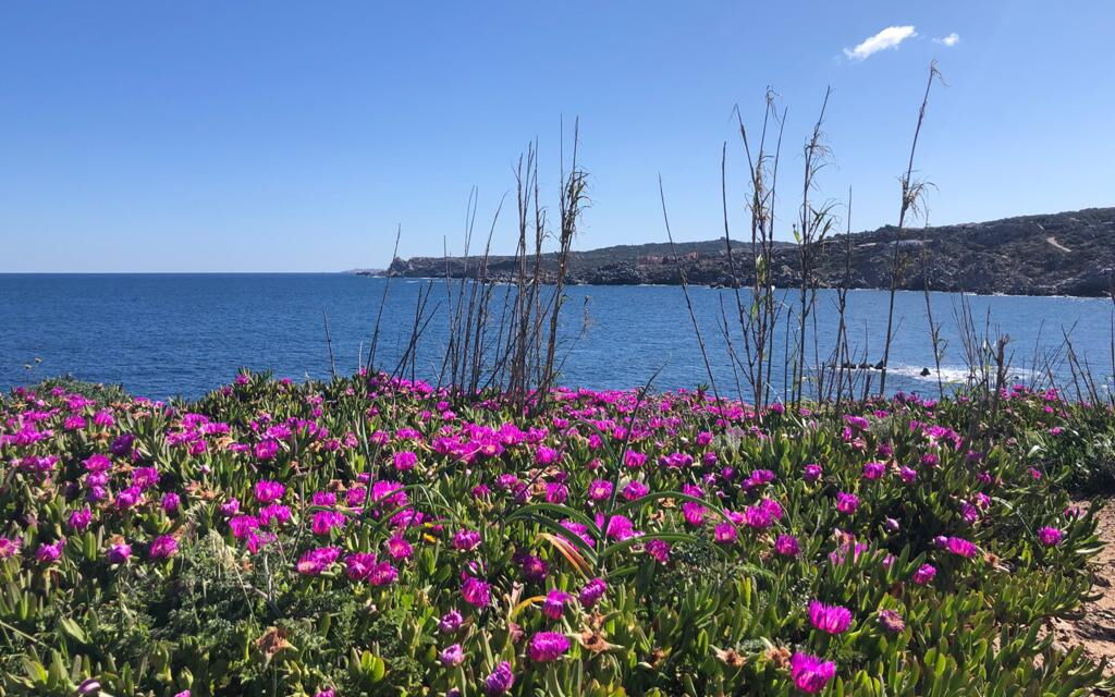 Cristal Blu Apartments In Santa Teresa Gallura: Autunno, Estate, Esterni, Inverno, Primavera