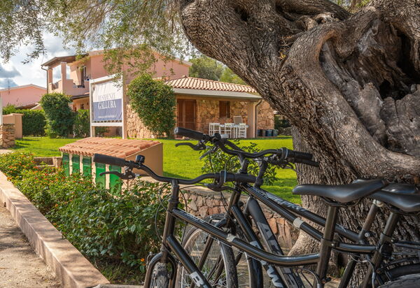 San Teodoro Apartments: Autunno, Estate, Esterni, Giardino, Inverno, Primavera