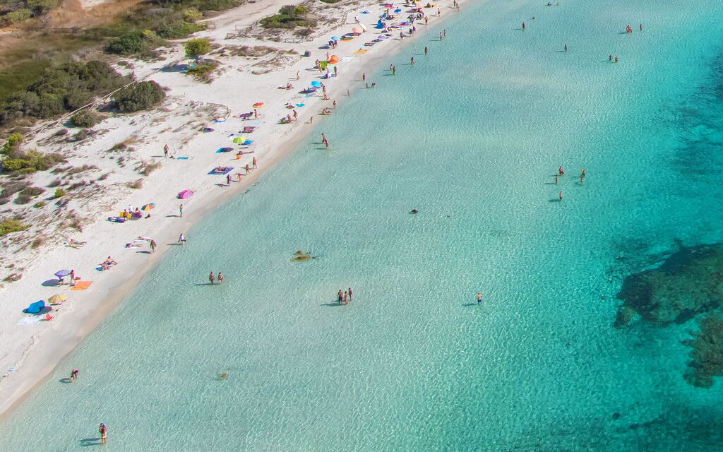 San Teodoro Apartments: Autunno, Estate, Esterni, Inverno, Primavera