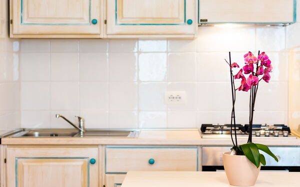 Appartamento Libeccio