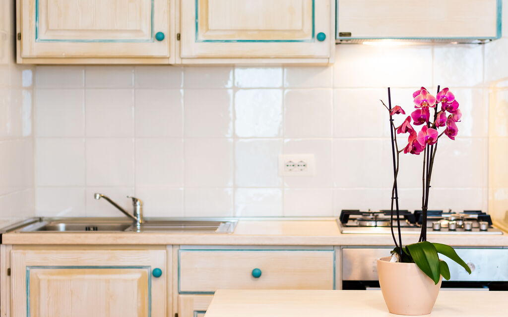 Baia Orosei Apartments Ac - : Autumn, Kitchen, Spring, Summer